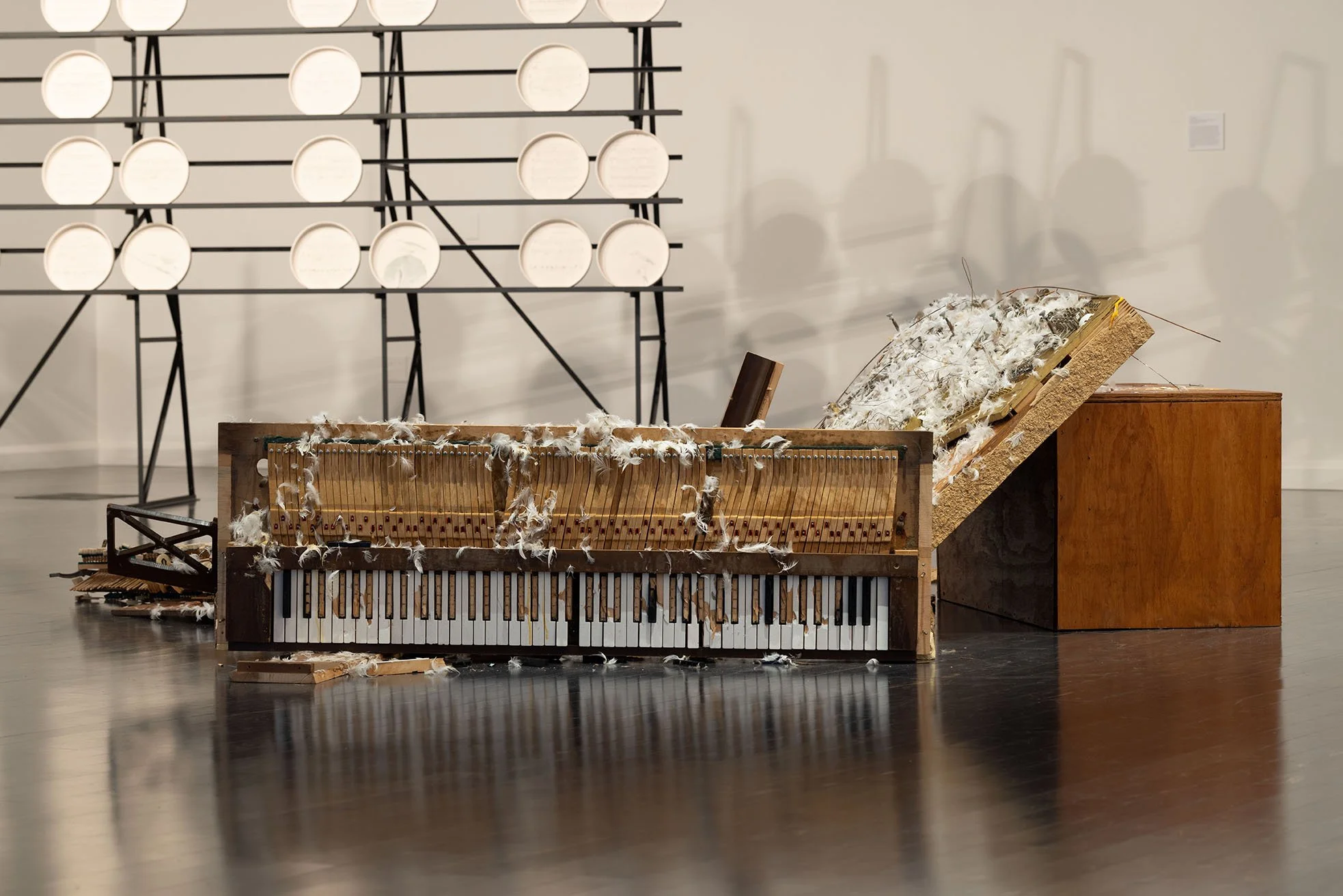 アート・デザイン・音楽 Sonic: Visuals for Music VisualSonic Is the Most Artistic Speaker You Will Ever See